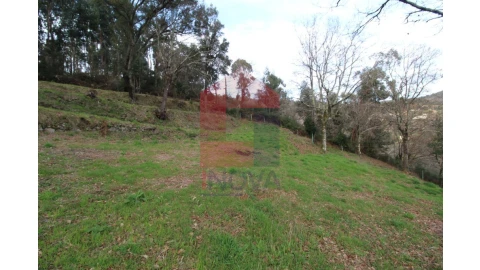 Terreno para Venda em Pico de Regalados, Gondiães e Mós