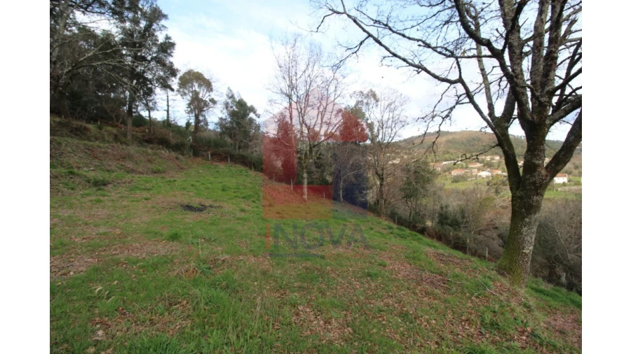 Terreno para Venda em Pico de Regalados, Gondiães e Mós Foto 5