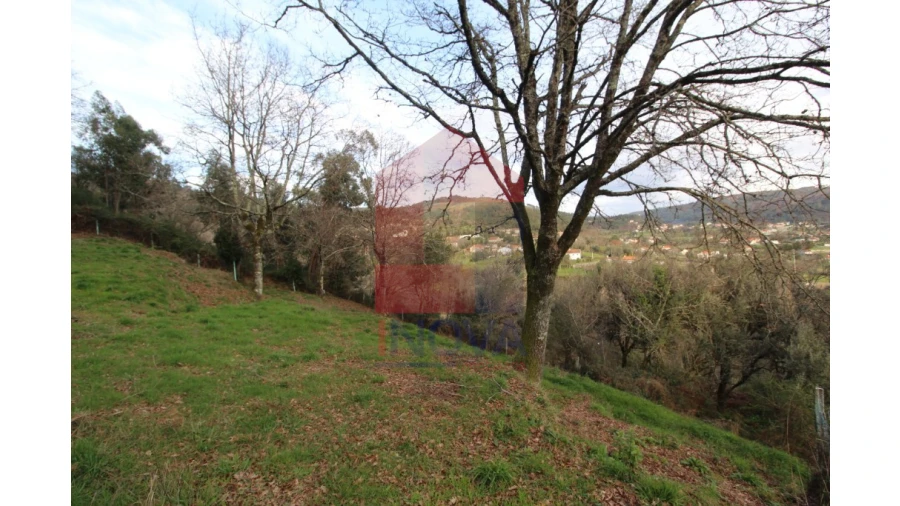 Terreno para Venda em Pico de Regalados, Gondiães e Mós Foto 4