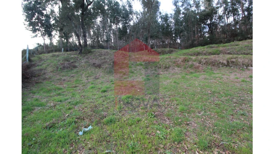 Terreno para Venda em Pico de Regalados, Gondiães e Mós Foto 2