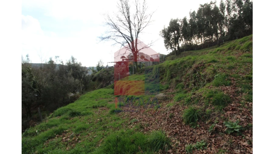 Terreno para Venda em Pico de Regalados, Gondiães e Mós Foto 6
