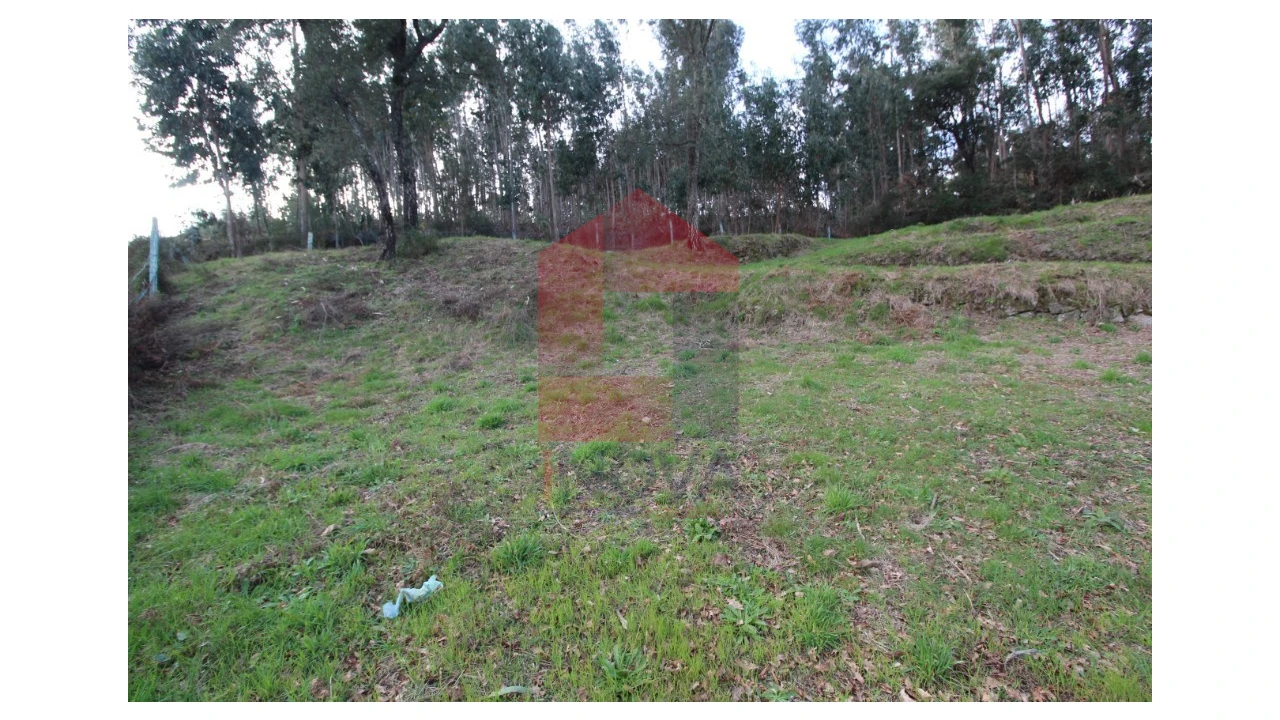Terreno para Venda em Pico de Regalados, Gondiães e Mós Foto 2