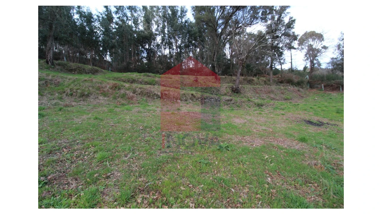Terreno para Venda em Pico de Regalados, Gondiães e Mós Foto 3