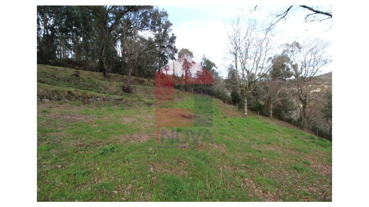 Terreno para Venda em Pico de Regalados, Gondiães e Mós Foto 1