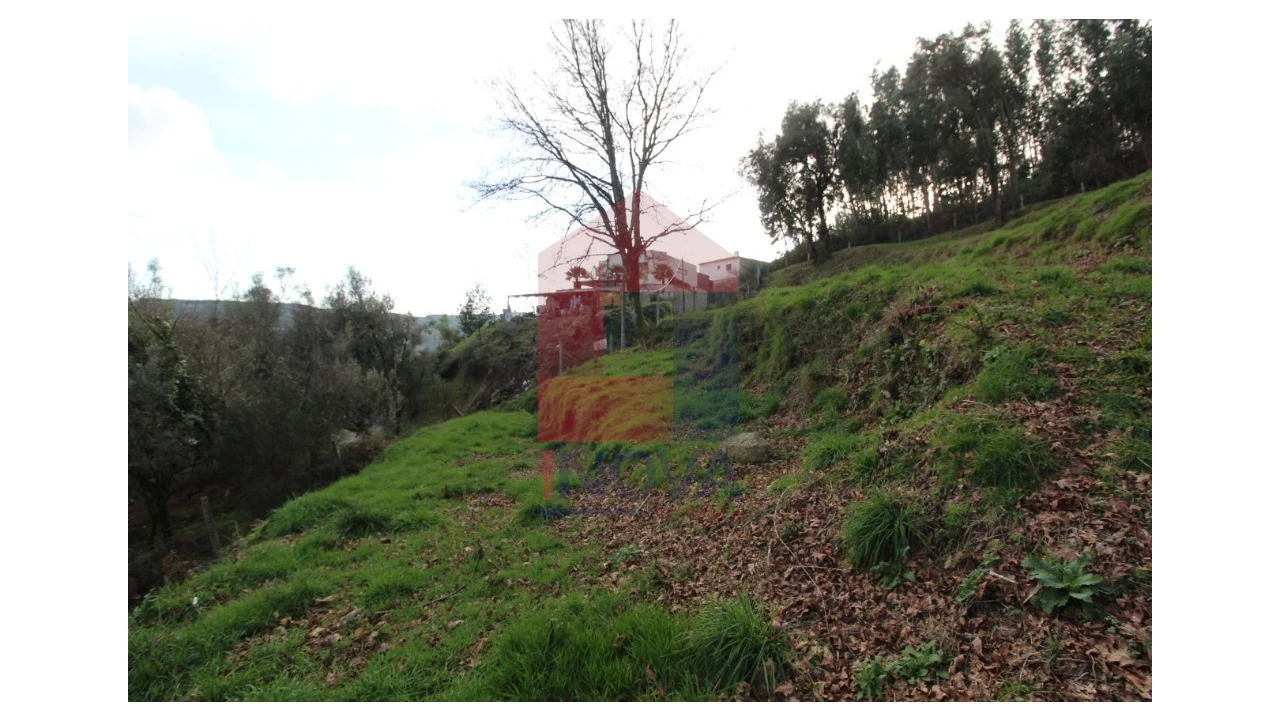 Terreno para Venda em Pico de Regalados, Gondiães e Mós Foto 6