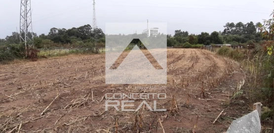Terreno para Venda em Alfena