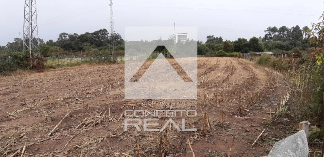 Terreno para Venda em Alfena Foto 5
