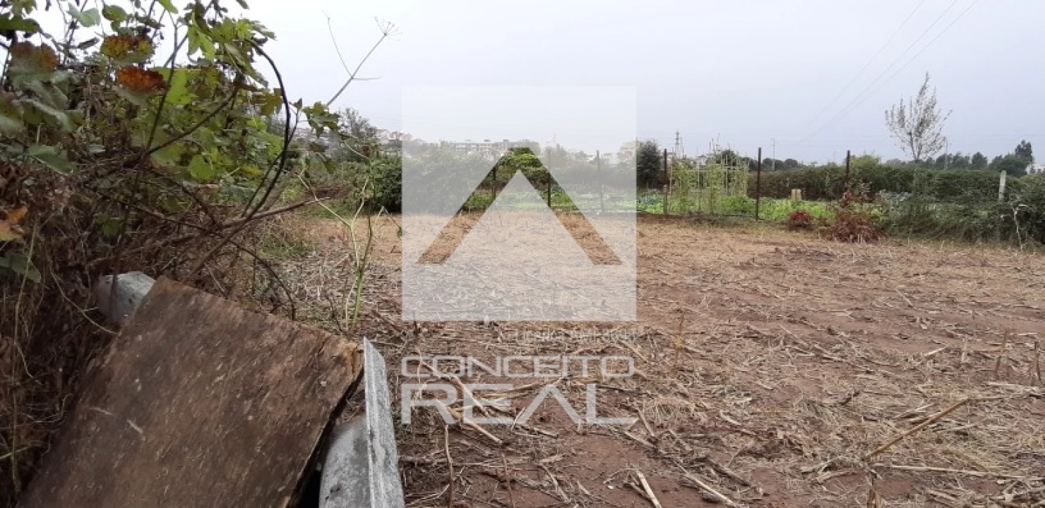 Terreno para Venda em Alfena Foto 4