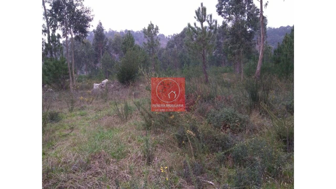 Terreno para Venda em Esposende, Marinhas e Gandra Foto 5