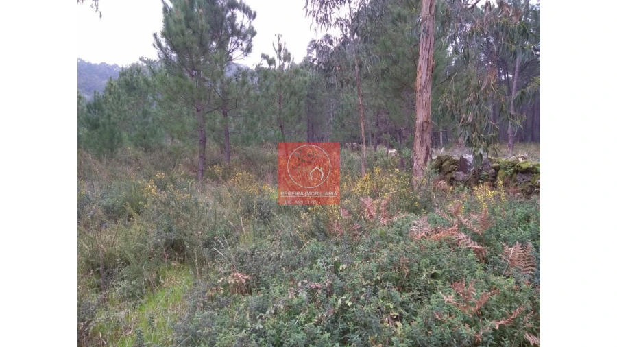 Terreno para Venda em Esposende, Marinhas e Gandra Foto 4