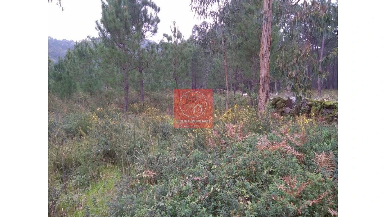 Terreno para Venda em Esposende, Marinhas e Gandra Foto 4