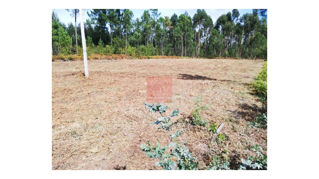 Terreno para Venda em Fragoso Foto 5