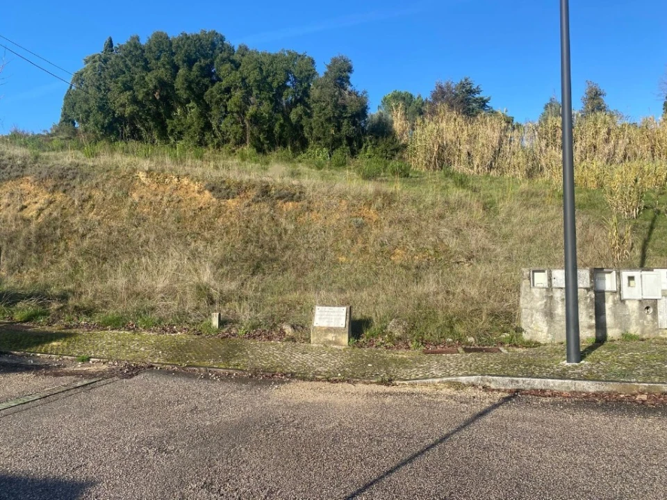 Terreno para Venda em Serra e Junceira Foto 1