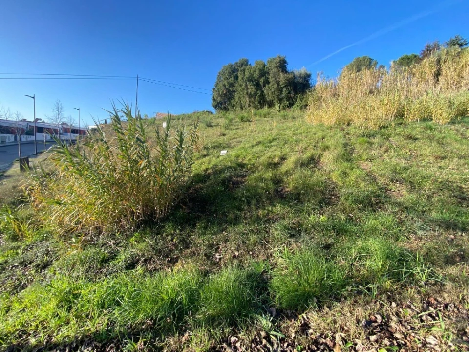 Terreno para Venda em Serra e Junceira Foto 4