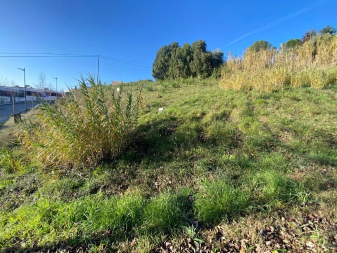 Terreno para Venda em Serra e Junceira Foto 4