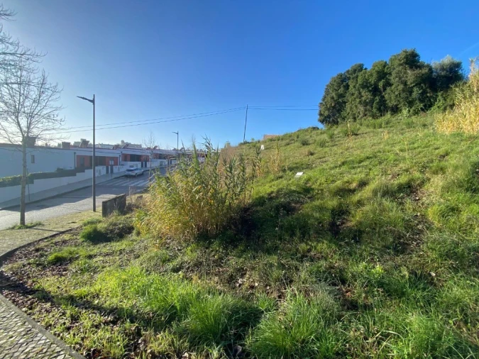 Terreno para Venda em Serra e Junceira Foto 3