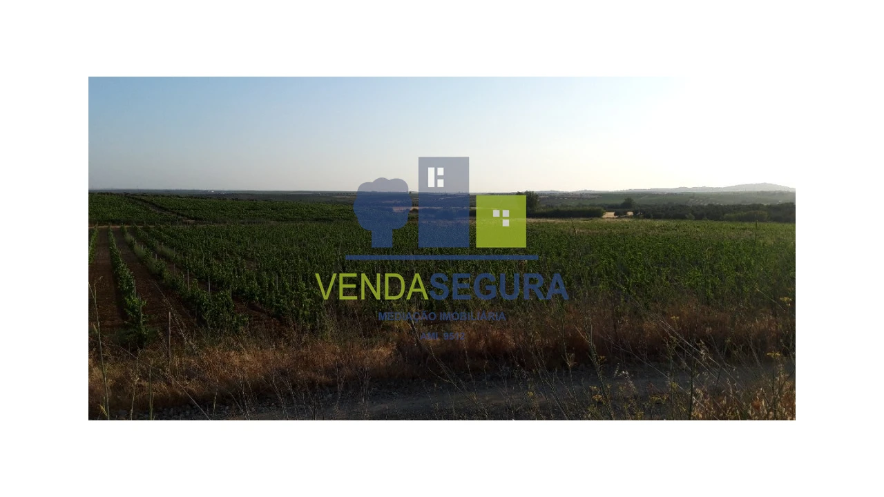 Terreno para Venda em Selmes Foto 2