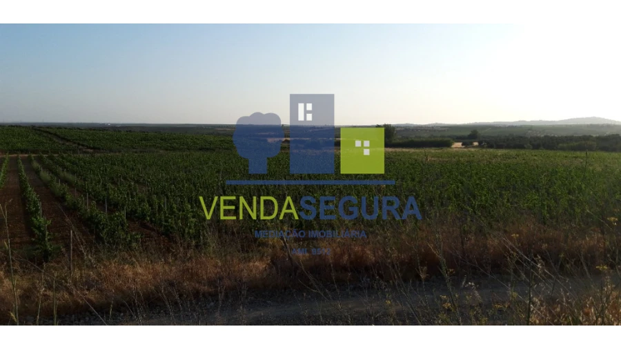 Terreno para Venda em Selmes Foto 2