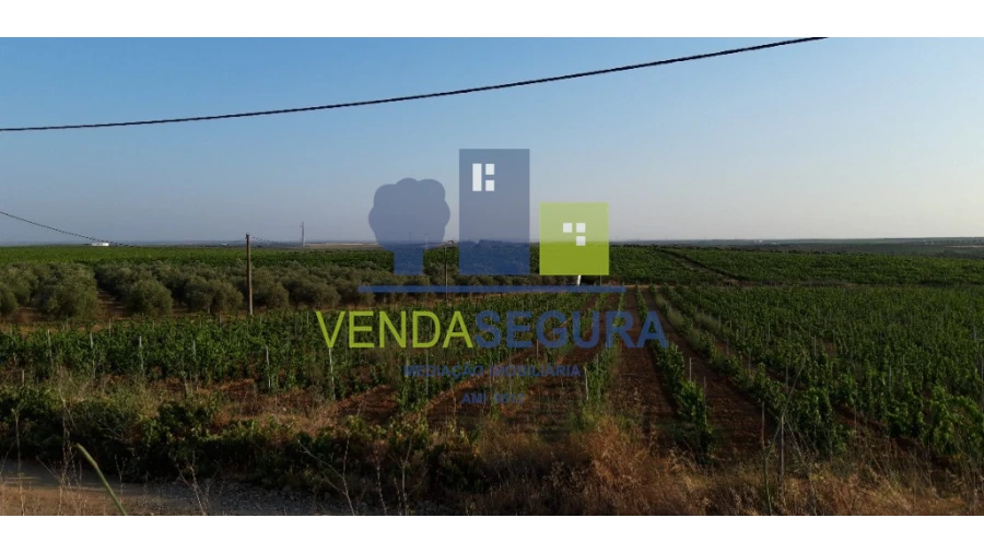 Terreno para Venda em Selmes Foto 3