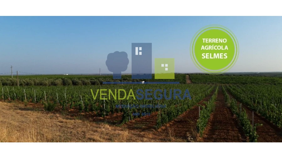 Terreno para Venda em Selmes Foto 1