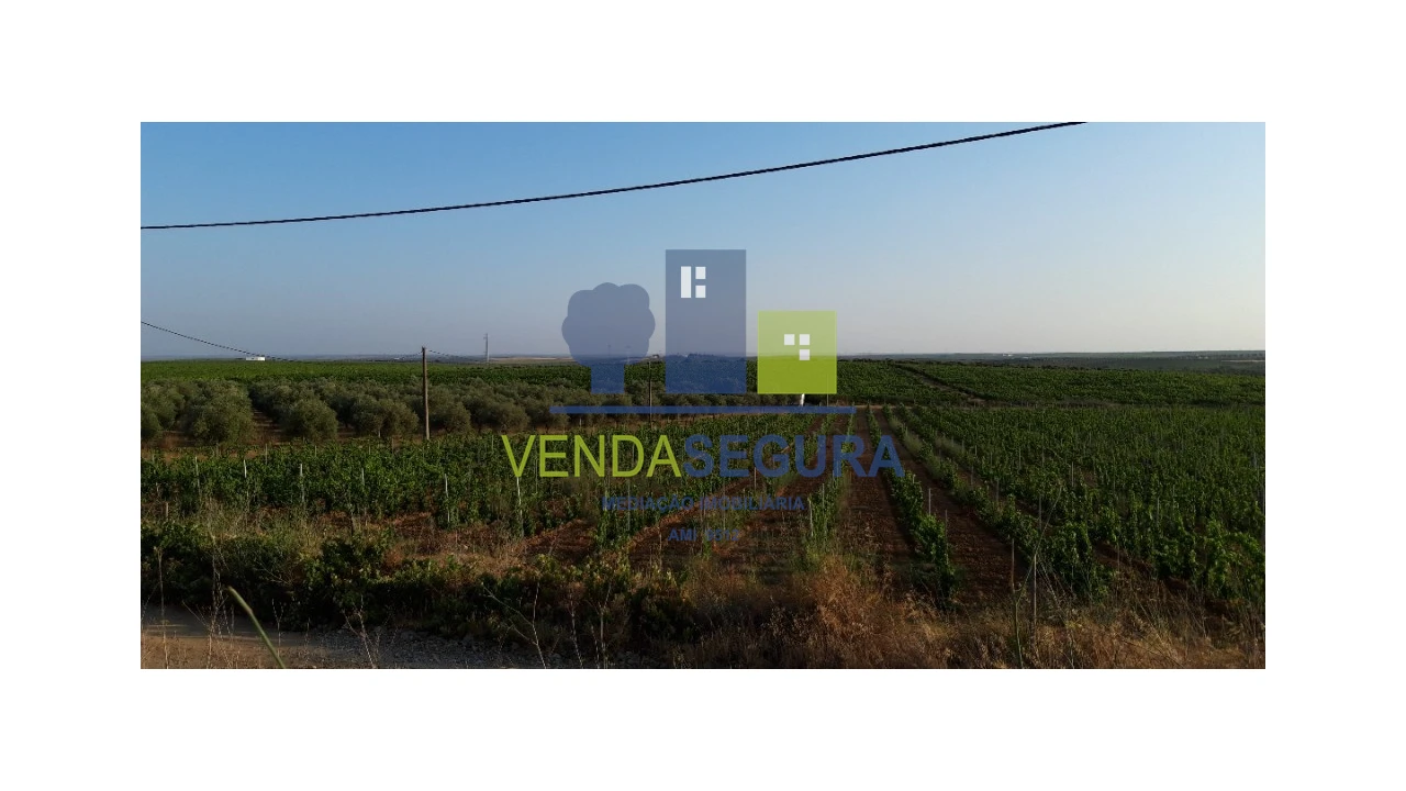 Terreno para Venda em Selmes Foto 3