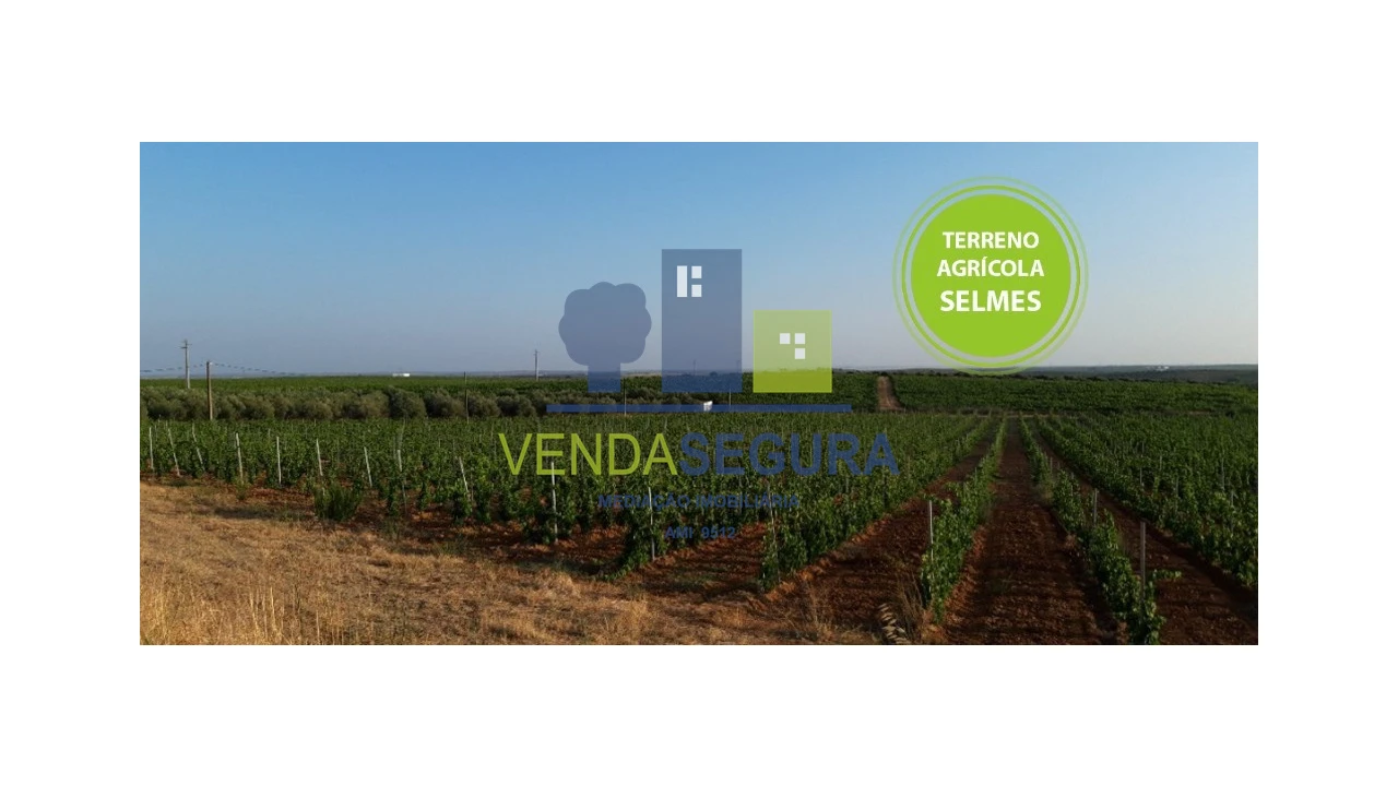 Terreno para Venda em Selmes Foto 1