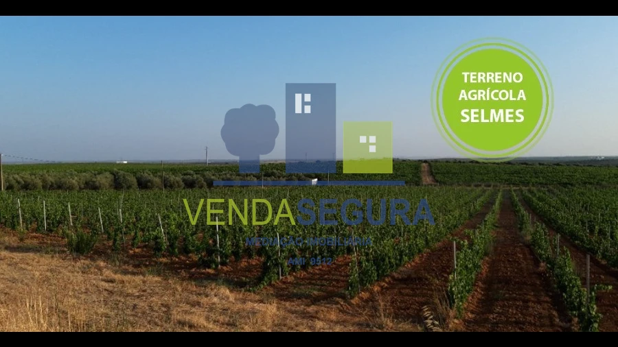Terreno para Venda em Selmes