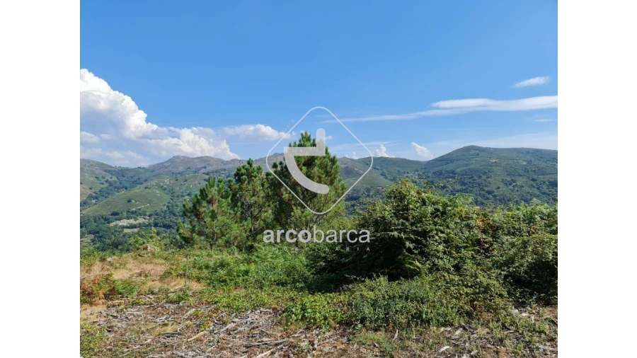 Terreno para Venda em Azias