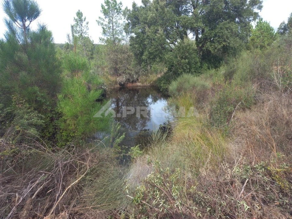 Terreno para Venda em Freixial e Juncal do Campo Foto 3