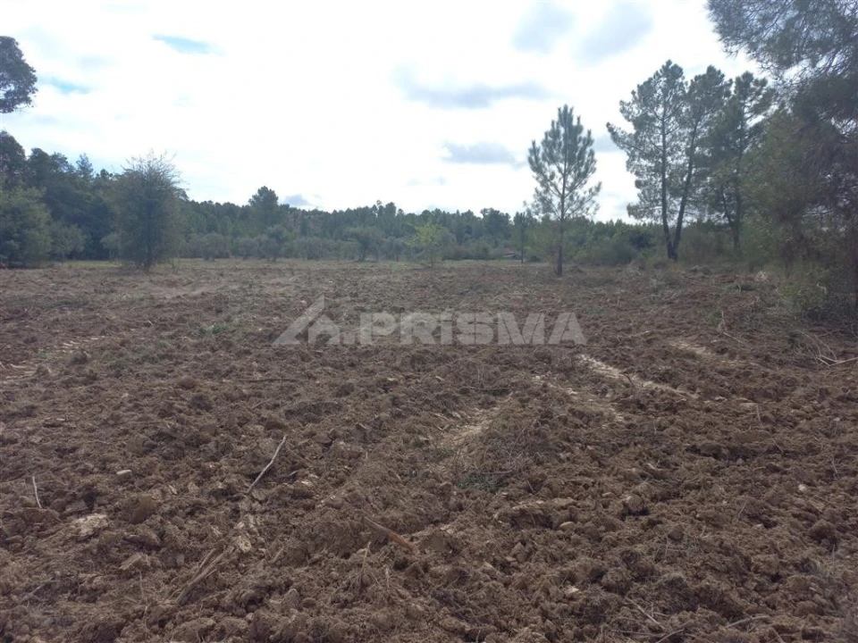 Terreno para Venda em Freixial e Juncal do Campo Foto 4