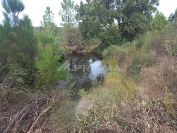 Terreno para Venda em Freixial e Juncal do Campo