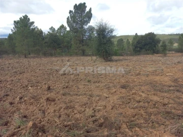 Terreno para Venda em Freixial e Juncal do Campo