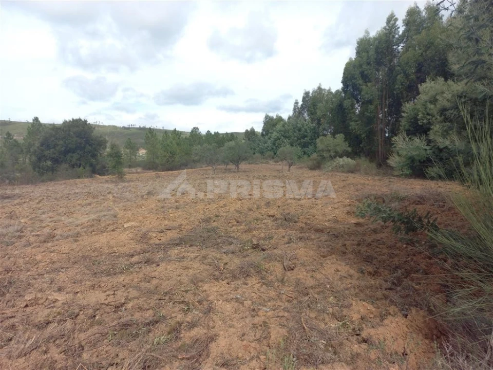 Terreno para Venda em Freixial e Juncal do Campo Foto 1