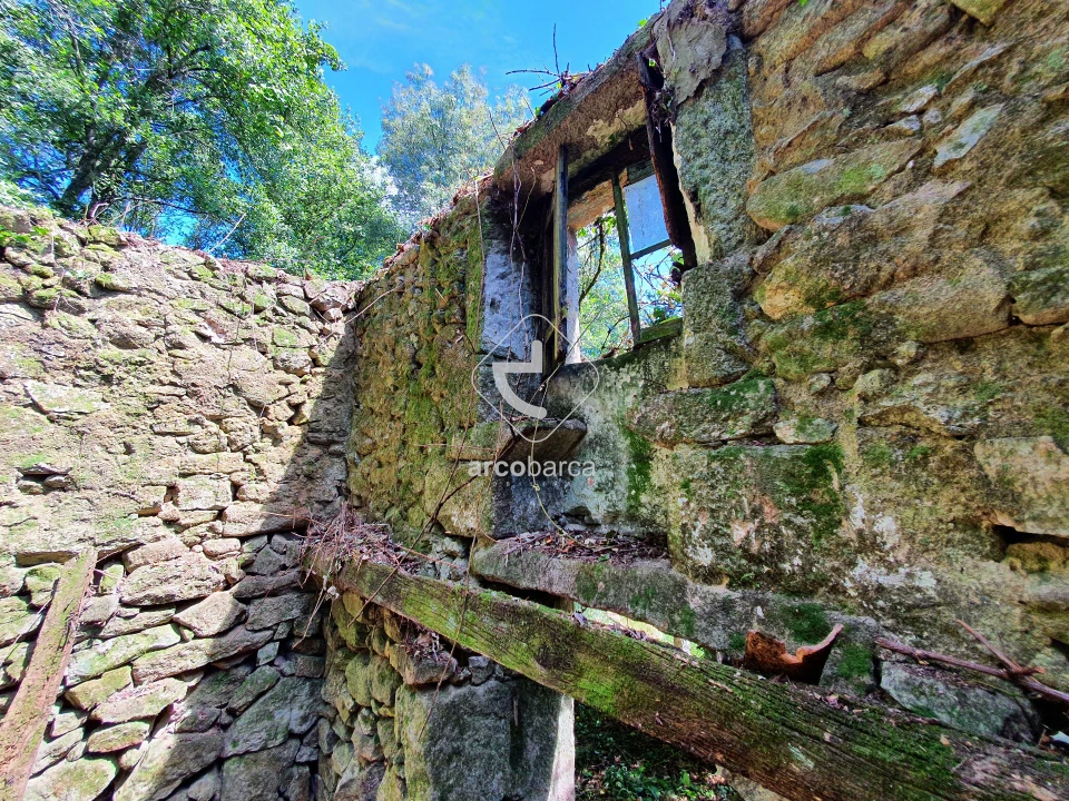 Moradia T1 para Venda em Alvora e Loureda Foto 13