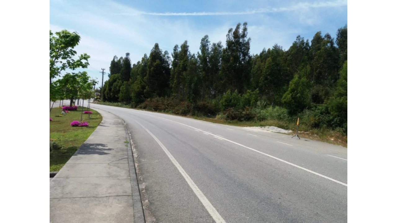Terreno para Venda em Nogueira da Regedoura Foto 5
