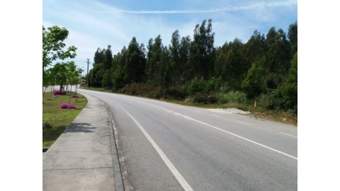 Terreno para Venda em Nogueira da Regedoura