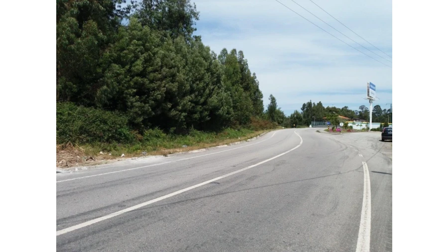 Terreno para Venda em Nogueira da Regedoura Foto 10