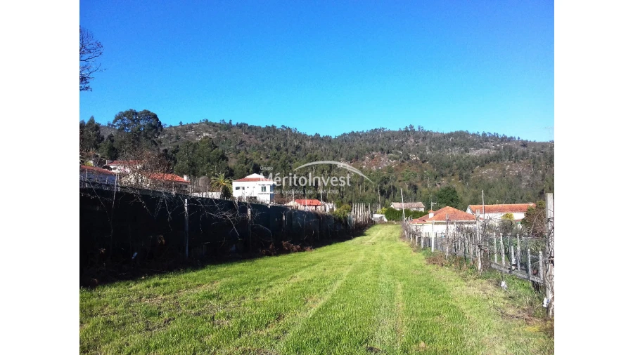 Terreno para Venda em Briteiros São Salvador e Briteiros Santa Leocádia Foto 2