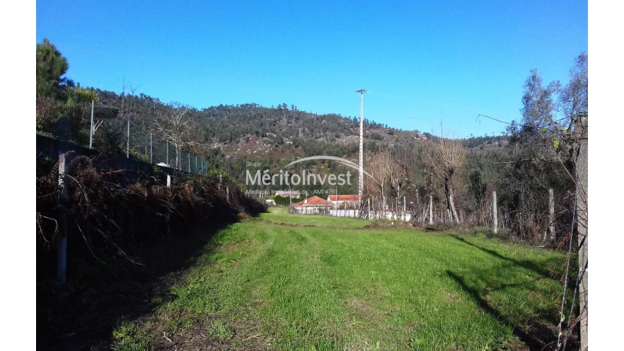 Terreno para Venda em Briteiros São Salvador e Briteiros Santa Leocádia Foto 4