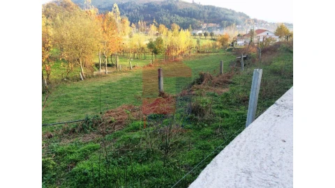 Terreno para Venda em Ribeira do Neiva