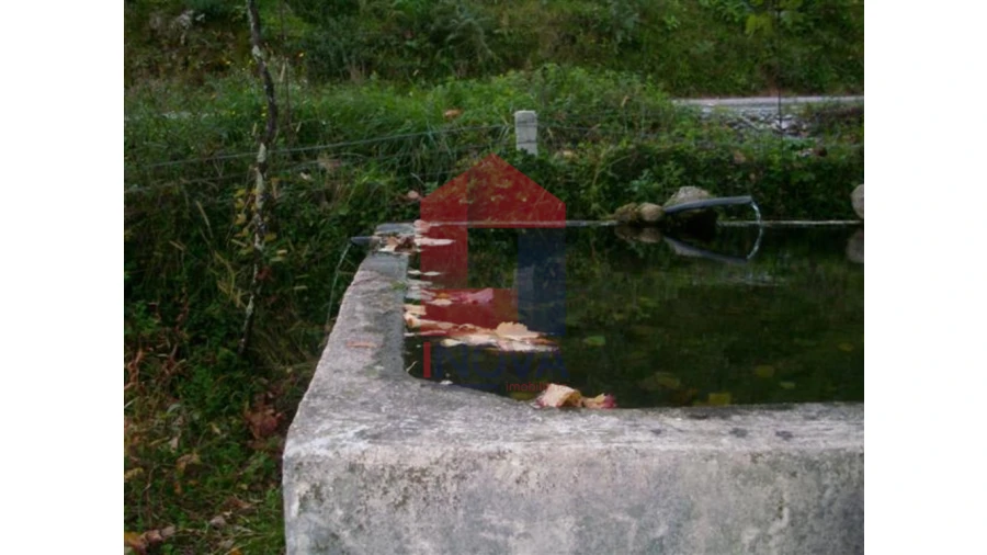 Terreno para Venda em Ribeira do Neiva Foto 4