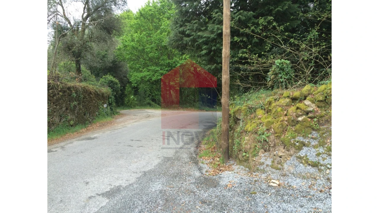 Terreno para Venda em Coucieiro Foto 11