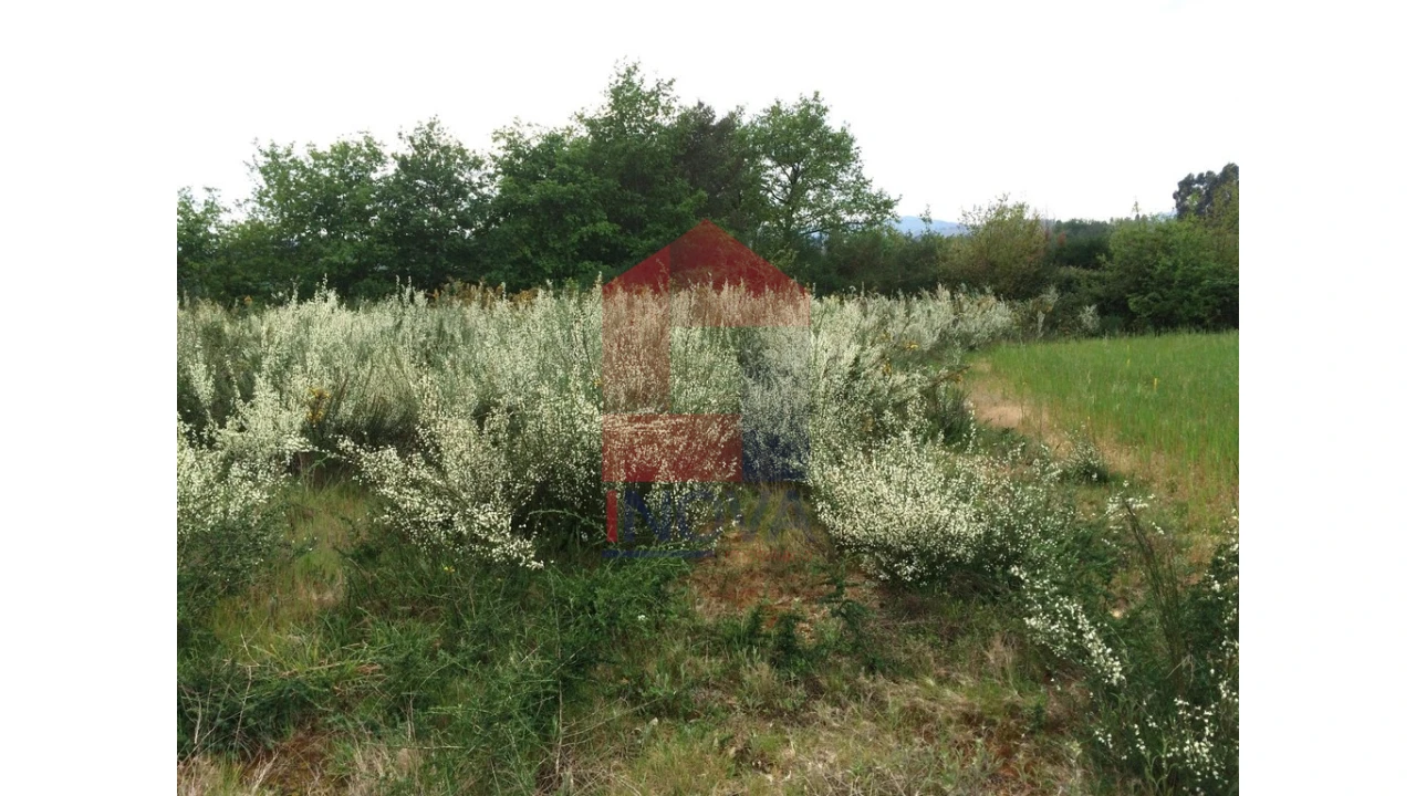 Terreno para Venda em Coucieiro Foto 9