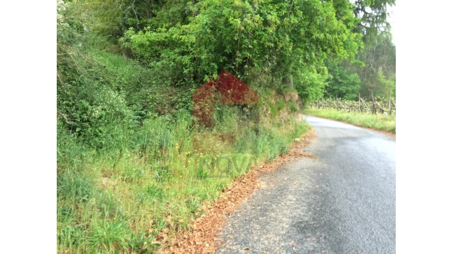 Terreno para Venda em Coucieiro Foto 10