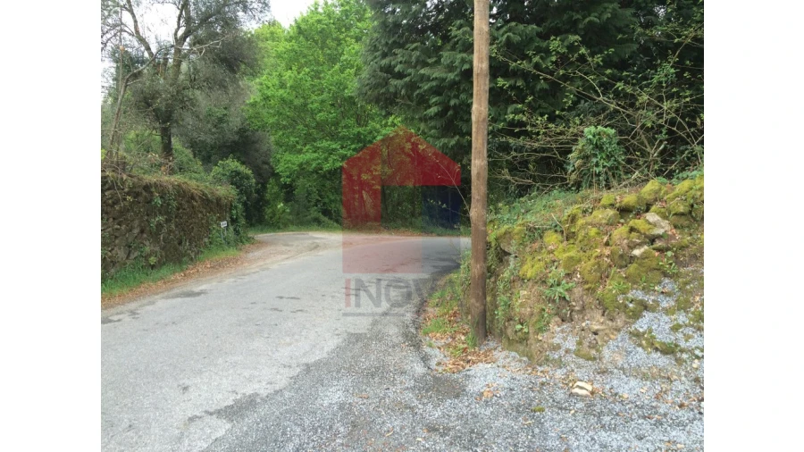 Terreno para Venda em Coucieiro Foto 11