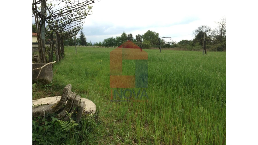 Terreno para Venda em Coucieiro Foto 2