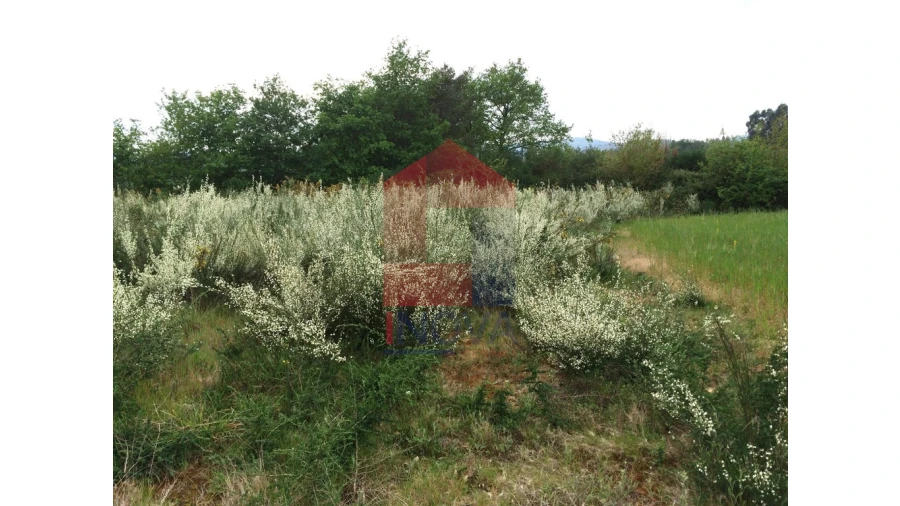 Terreno para Venda em Coucieiro Foto 9