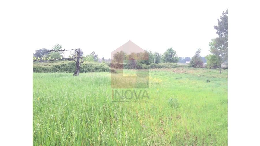 Terreno para Venda em Coucieiro Foto 5