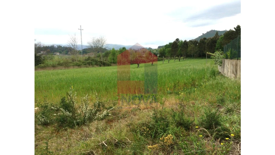 Terreno para Venda em Coucieiro Foto 4