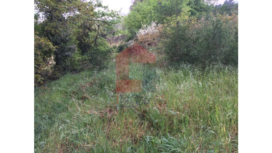 Terreno para Venda em Coucieiro Foto 8